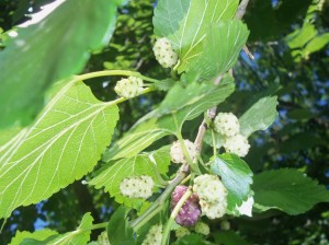 The Readiness Factor