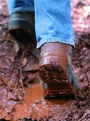 feet stuck in mud