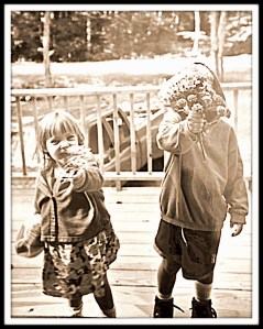 flowers from Hope and aus