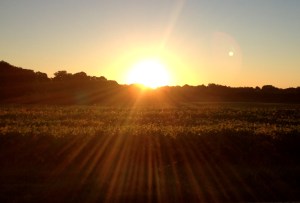 weekly photo challenge 3