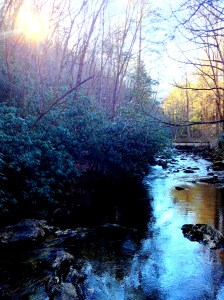sunlit creek