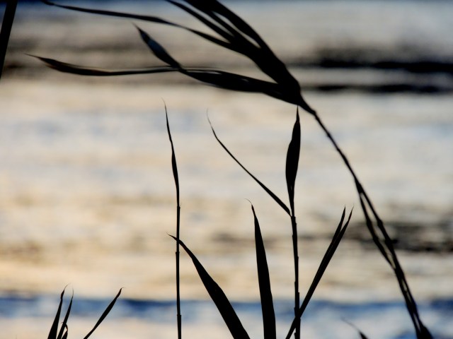 black and white sunday 2