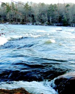 silent sunday  to use