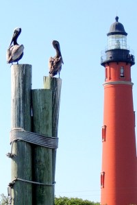 SIlent Sunday 7-5-15