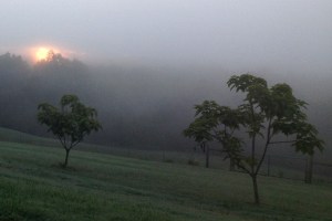 morningfog
