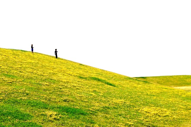 wordless wednesday.JPG