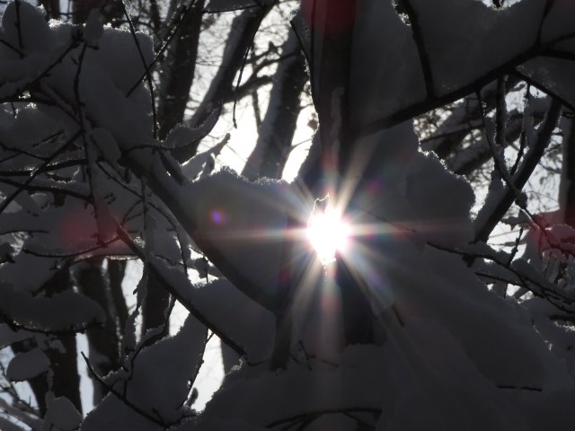 dscn1409