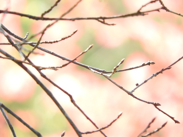 DSCN2967.JPG