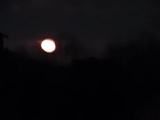 DSCN2243