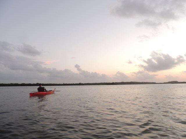 DSCN7987