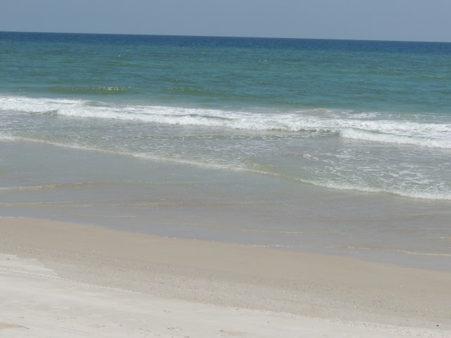 DSCN8453