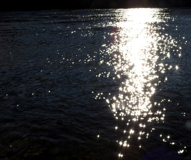 DSCN7162