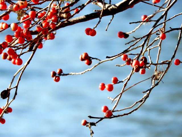 DSCN7165
