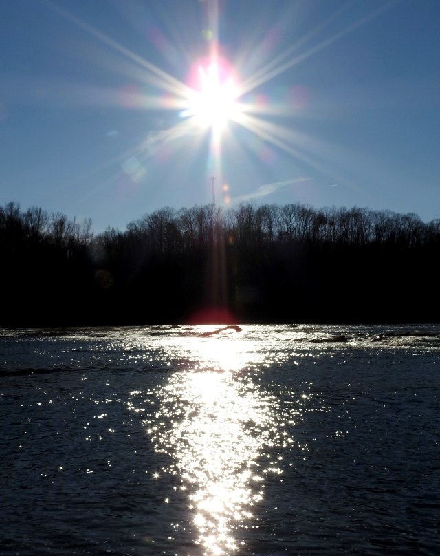 DSCN7175